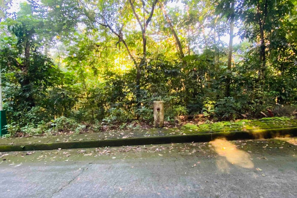 Land for Sale in Mambugan, Antipolo, Rizal