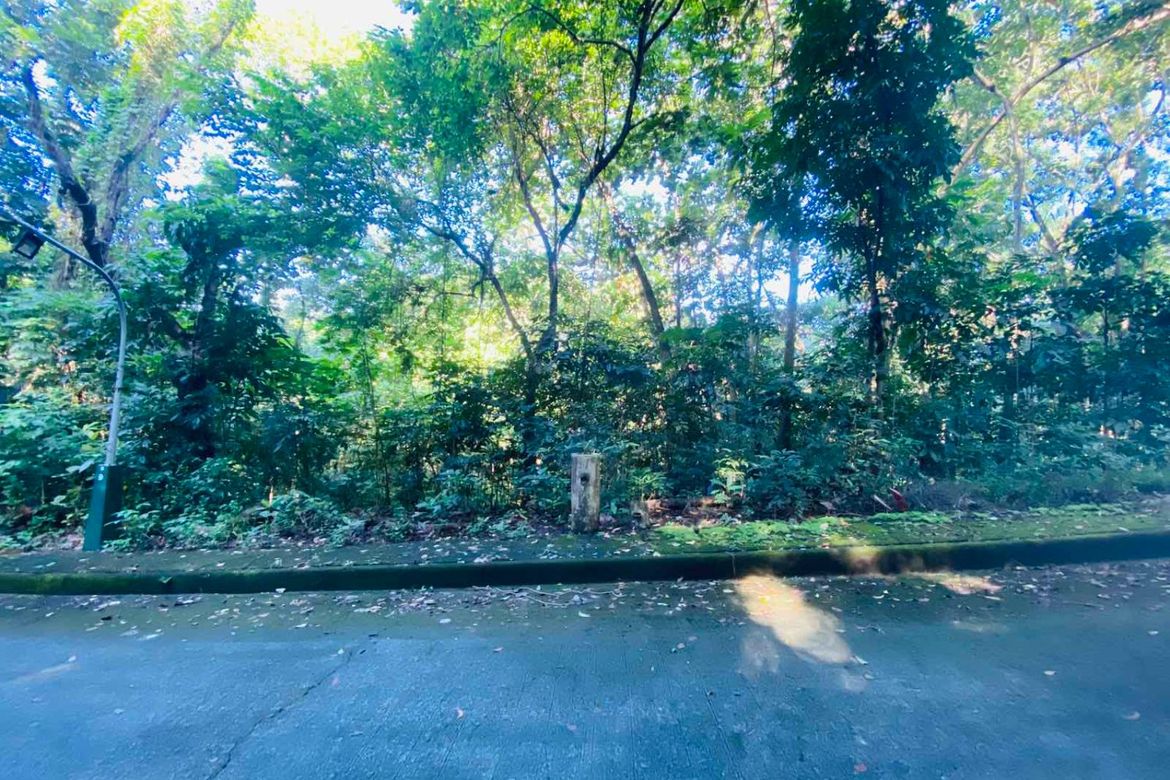 Land for Sale in Mambugan, Antipolo, Rizal – photo 2