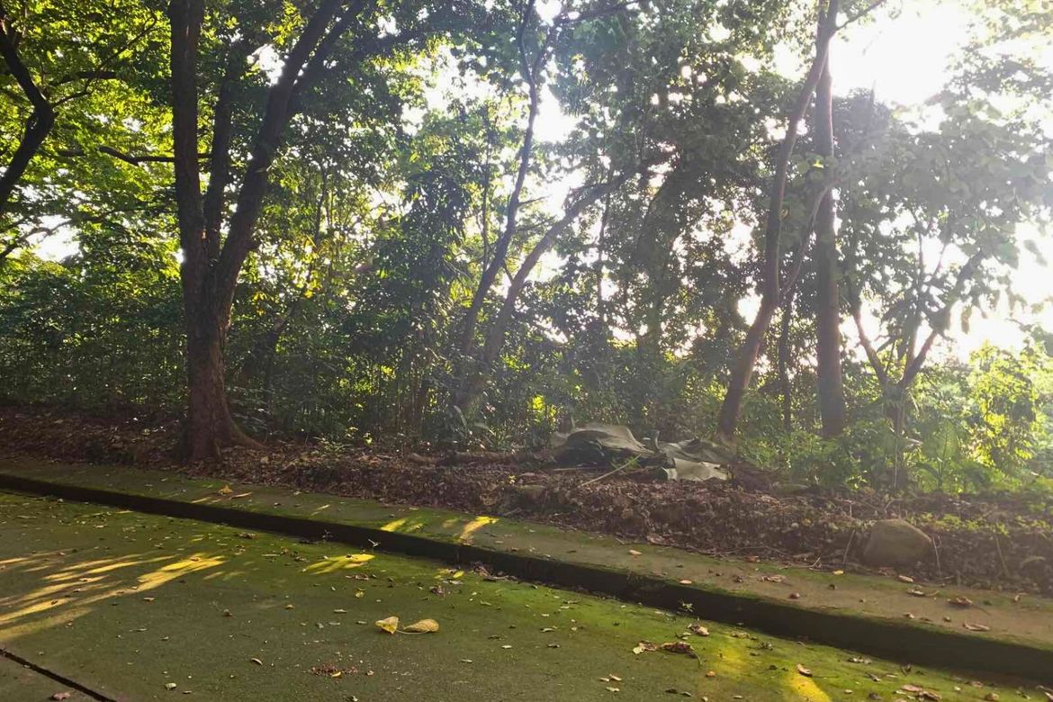 Land for Sale in Mambugan, Antipolo, Rizal