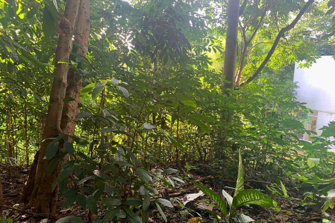 Land for Sale in Mambugan, Antipolo, Rizal – photo 2