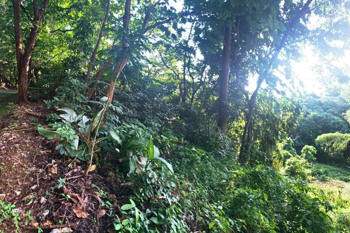 Land for Sale in Mambugan, Antipolo, Rizal – photo 3