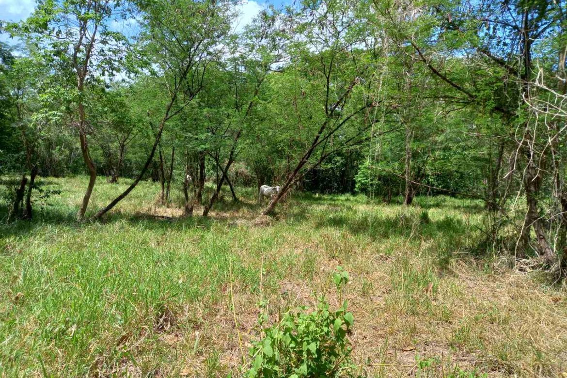 Land for Sale in Mambugan, Antipolo, Rizal