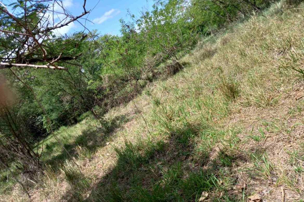 Land for Sale in Mambugan, Antipolo, Rizal – photo 2