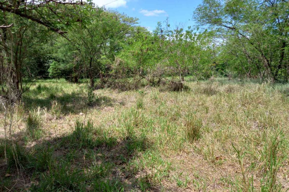 Land for Sale in Mambugan, Antipolo, Rizal – photo 3