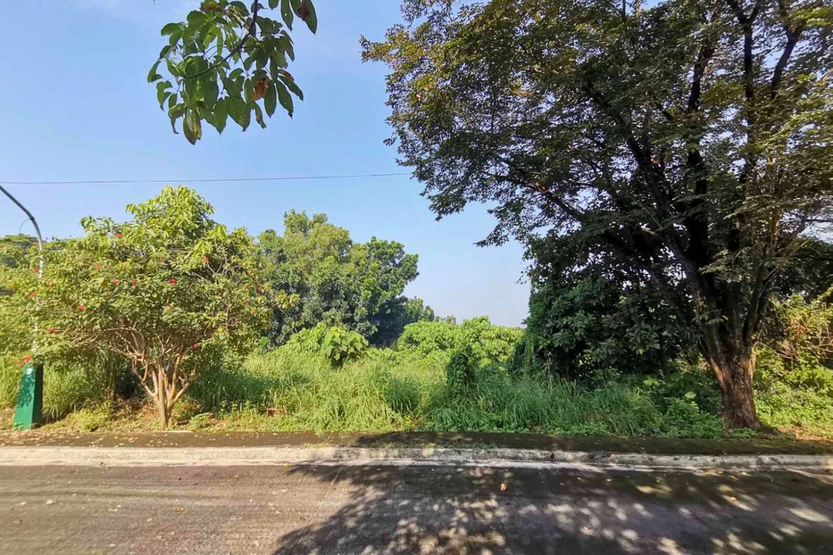 Land for Sale in Mambugan, Antipolo, Rizal