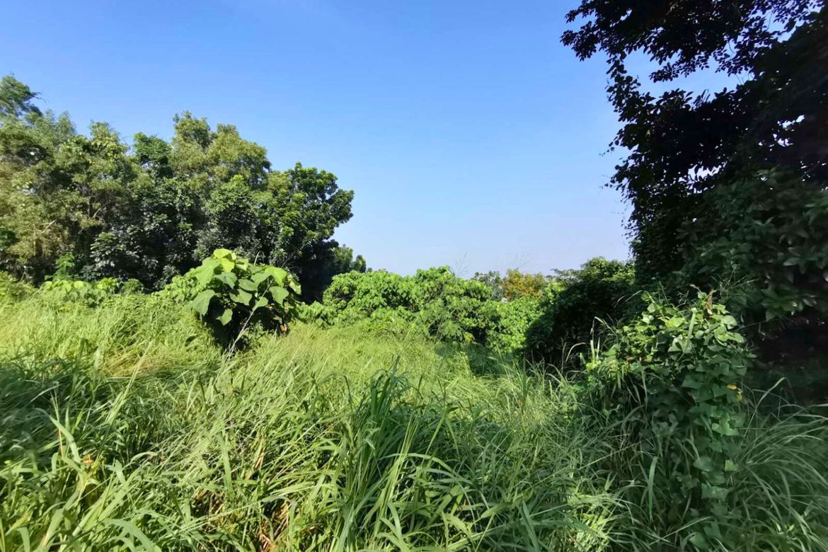 Land for Sale in Mambugan, Antipolo, Rizal – photo 2