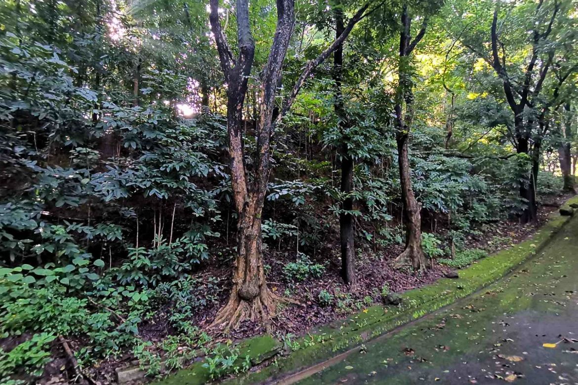 Land for Sale in Mambugan, Antipolo, Rizal – photo 3