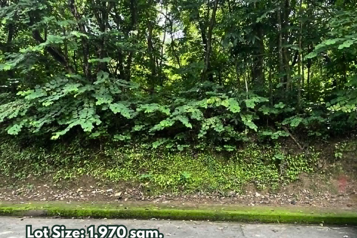 Land for Sale in Mambugan, Antipolo, Rizal – photo 4