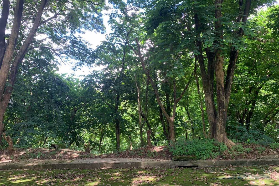 Land for Sale in Mambugan, Antipolo, Rizal – photo 2