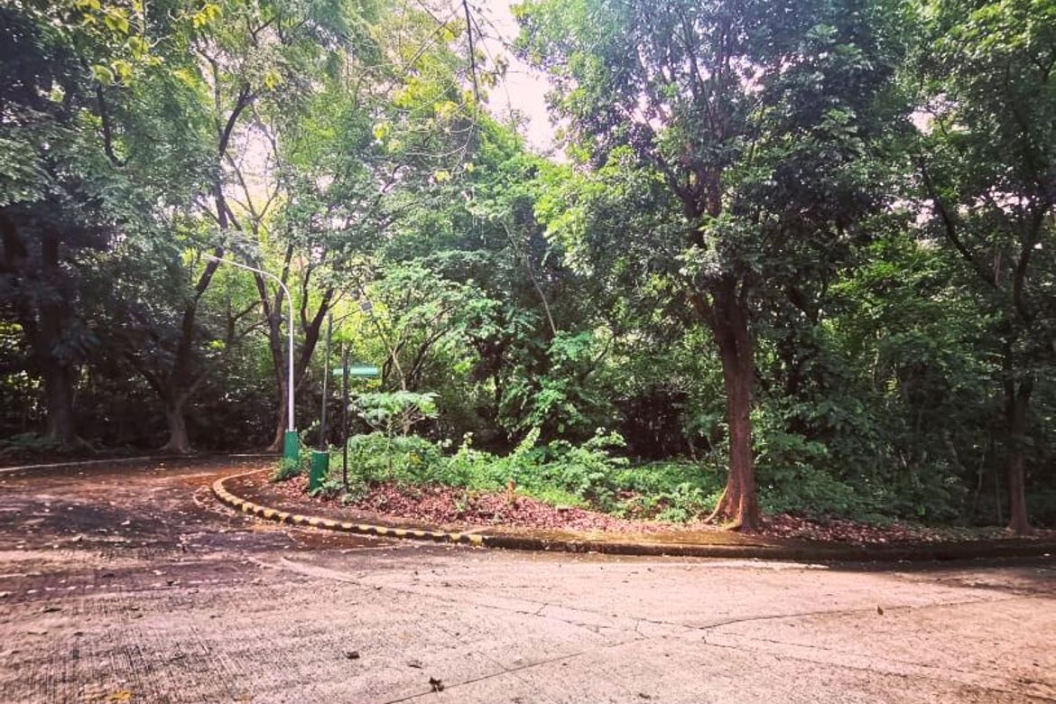 Land for Sale in Mambugan, Antipolo, Rizal – photo 3