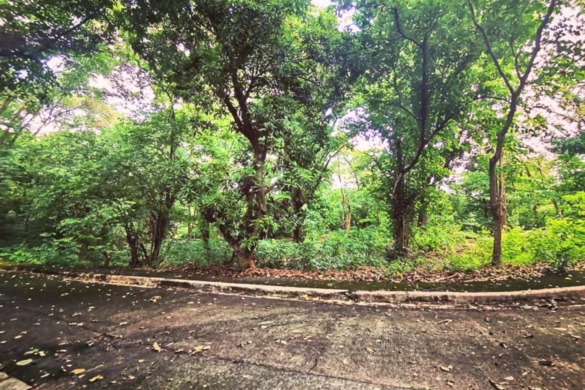 Land for Sale in Mambugan, Antipolo, Rizal – photo 6