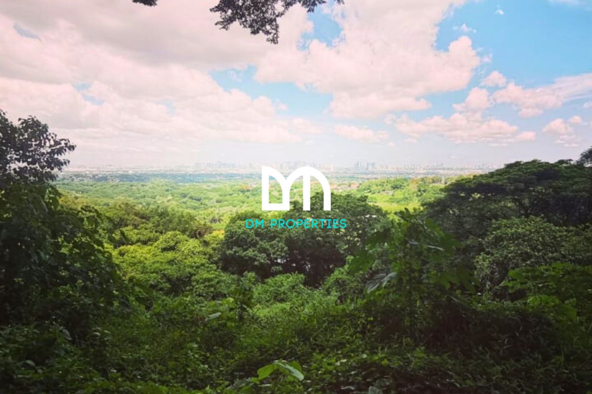 Land for Sale in Mambugan, Antipolo, Rizal – photo 2