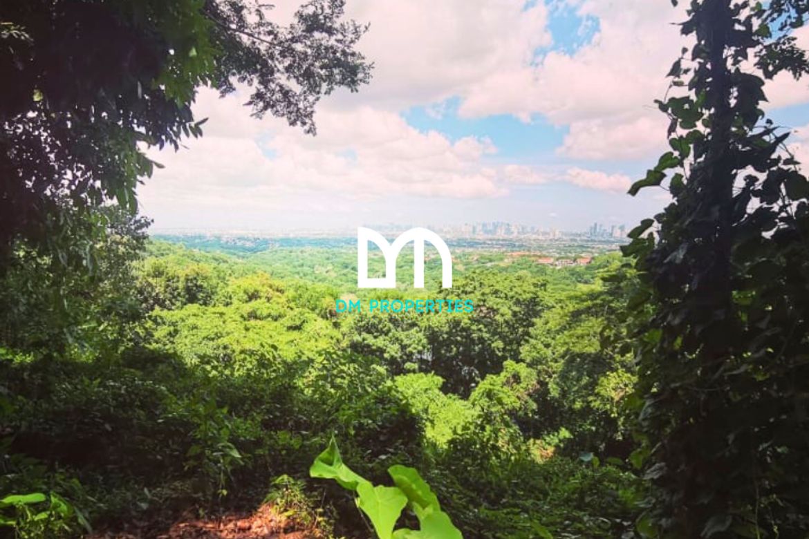 Land for Sale in Mambugan, Antipolo, Rizal – photo 3