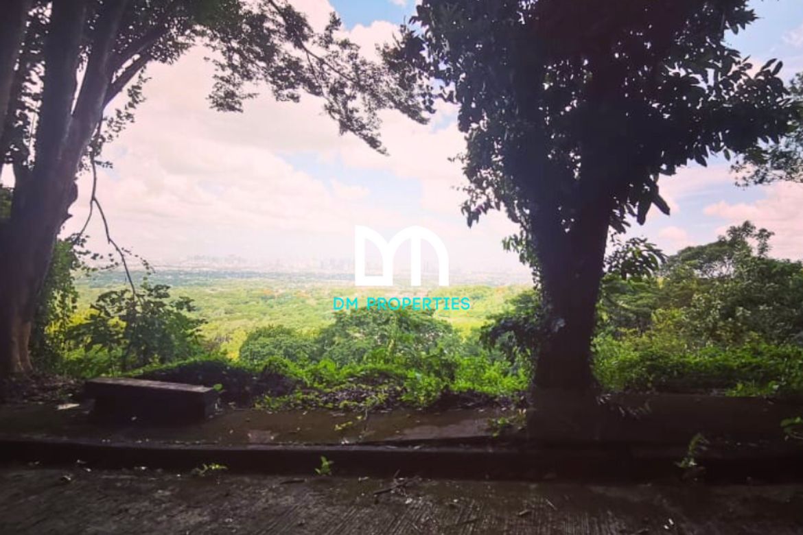 Land for Sale in Mambugan, Antipolo, Rizal – photo 4