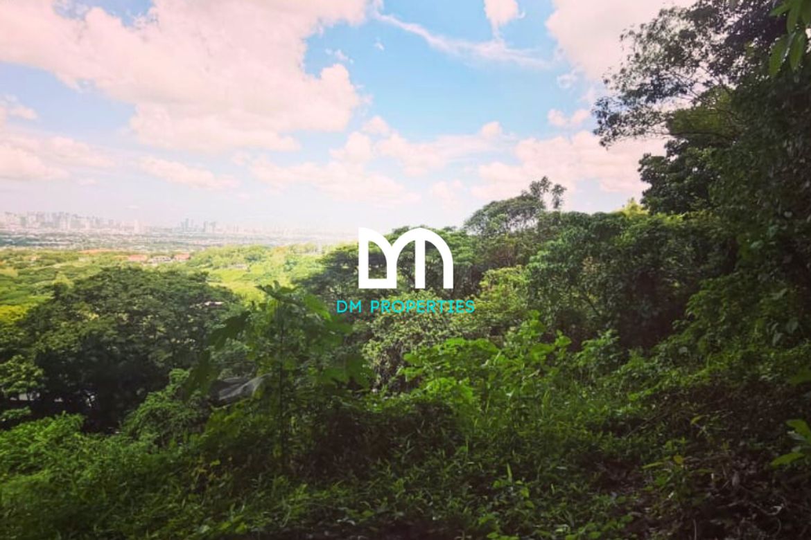 Land for Sale in Mambugan, Antipolo, Rizal – photo 5