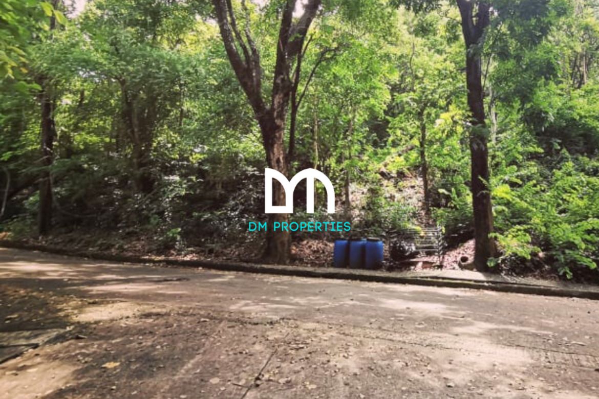Land for Sale in Mambugan, Antipolo, Rizal – photo 6