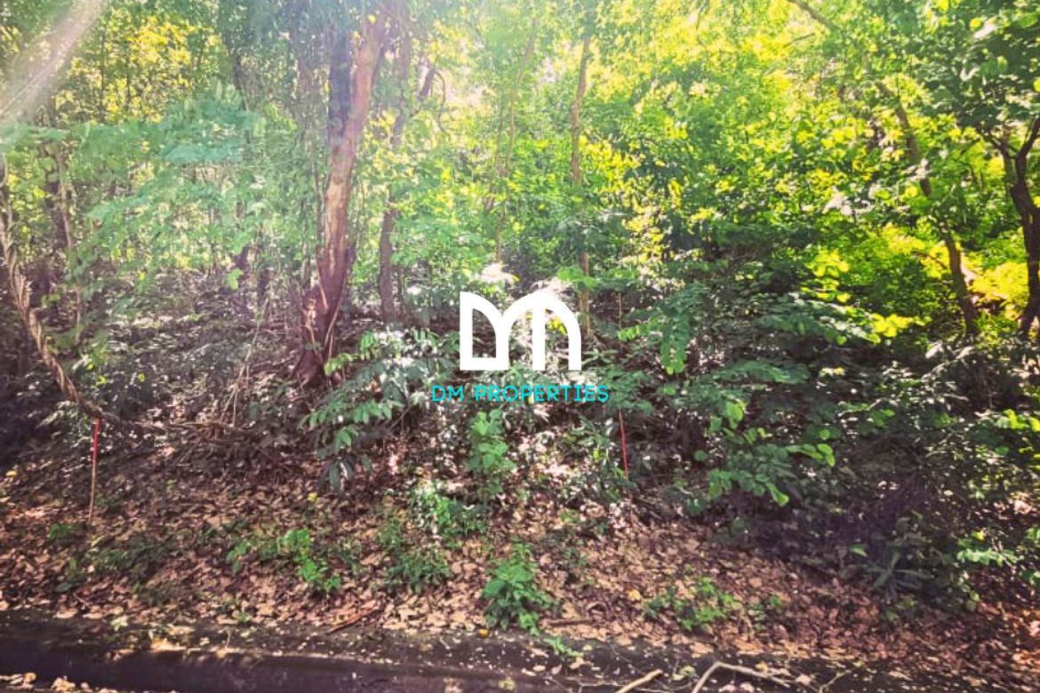 Land for Sale in Mambugan, Antipolo, Rizal – photo 7