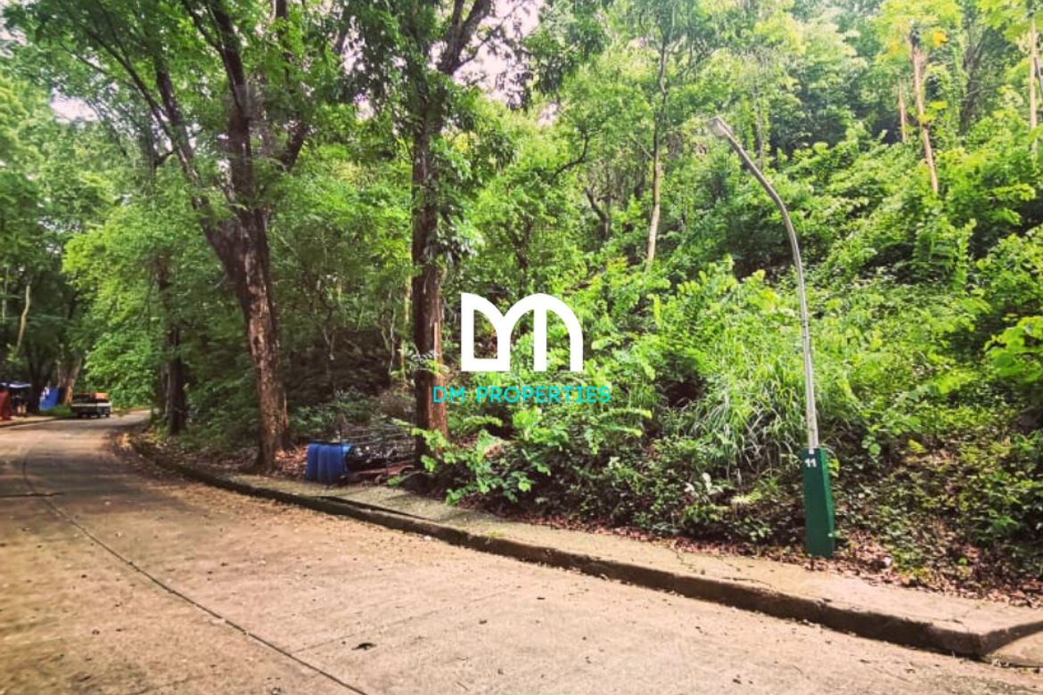 Land for Sale in Mambugan, Antipolo, Rizal – photo 8