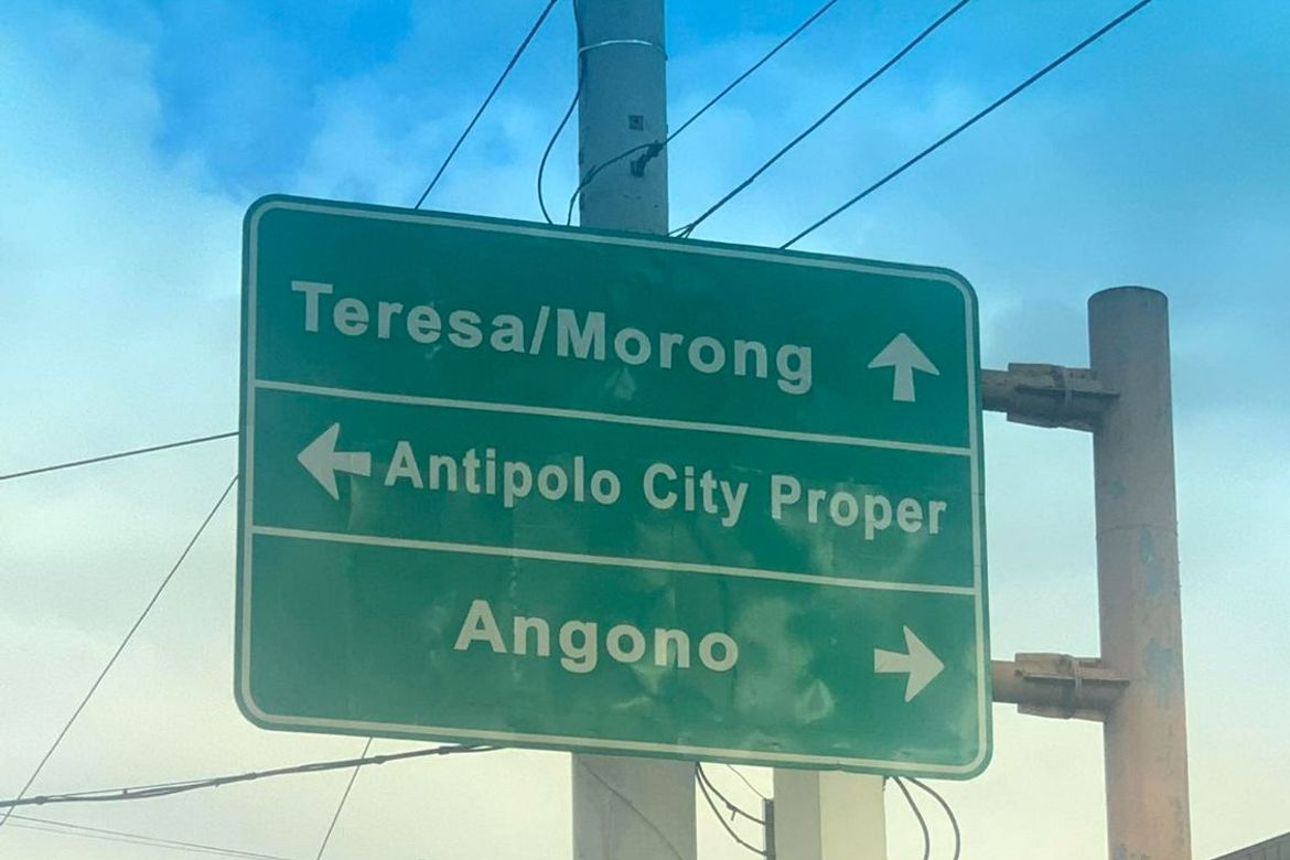 Land for Sale in Mambugan, Antipolo, Rizal – photo 2