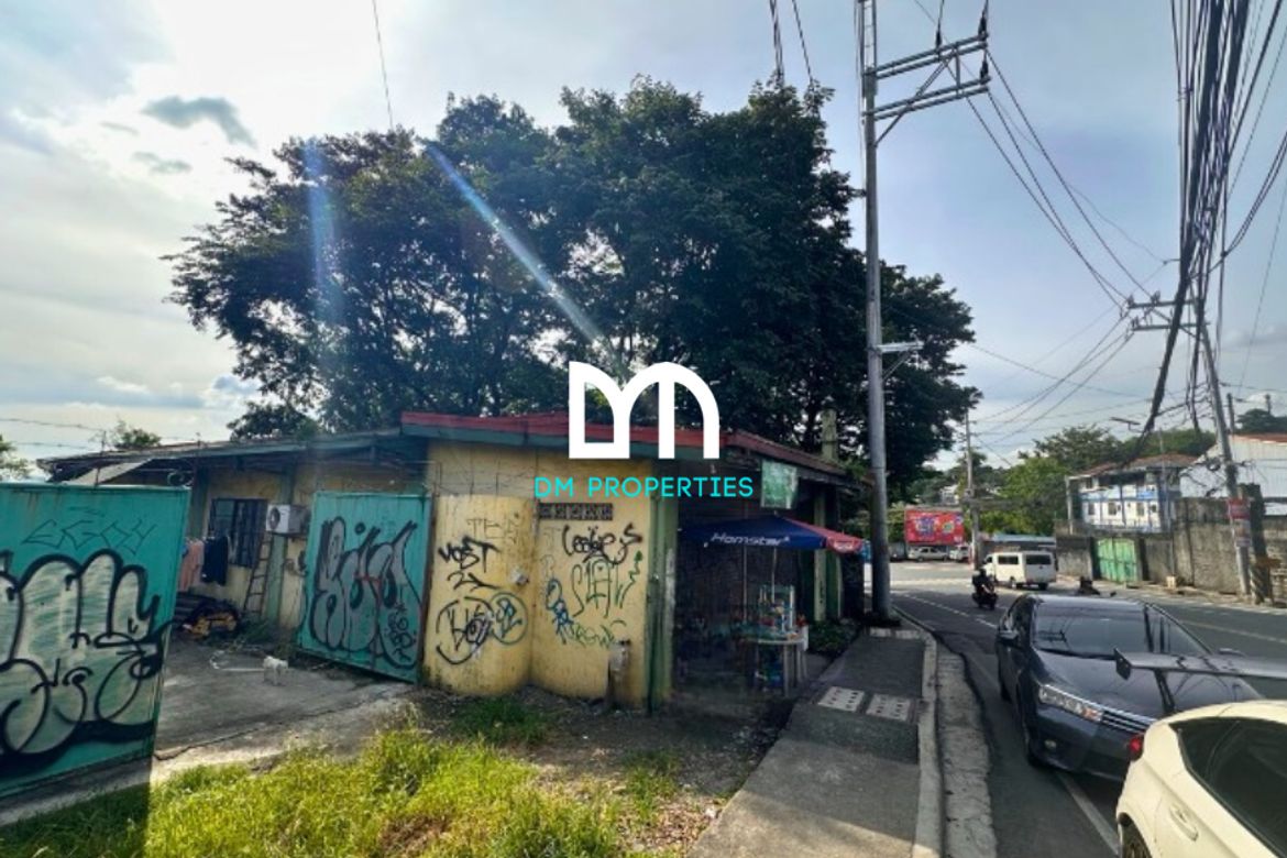 Land for Sale in Mambugan, Antipolo, Rizal – photo 2