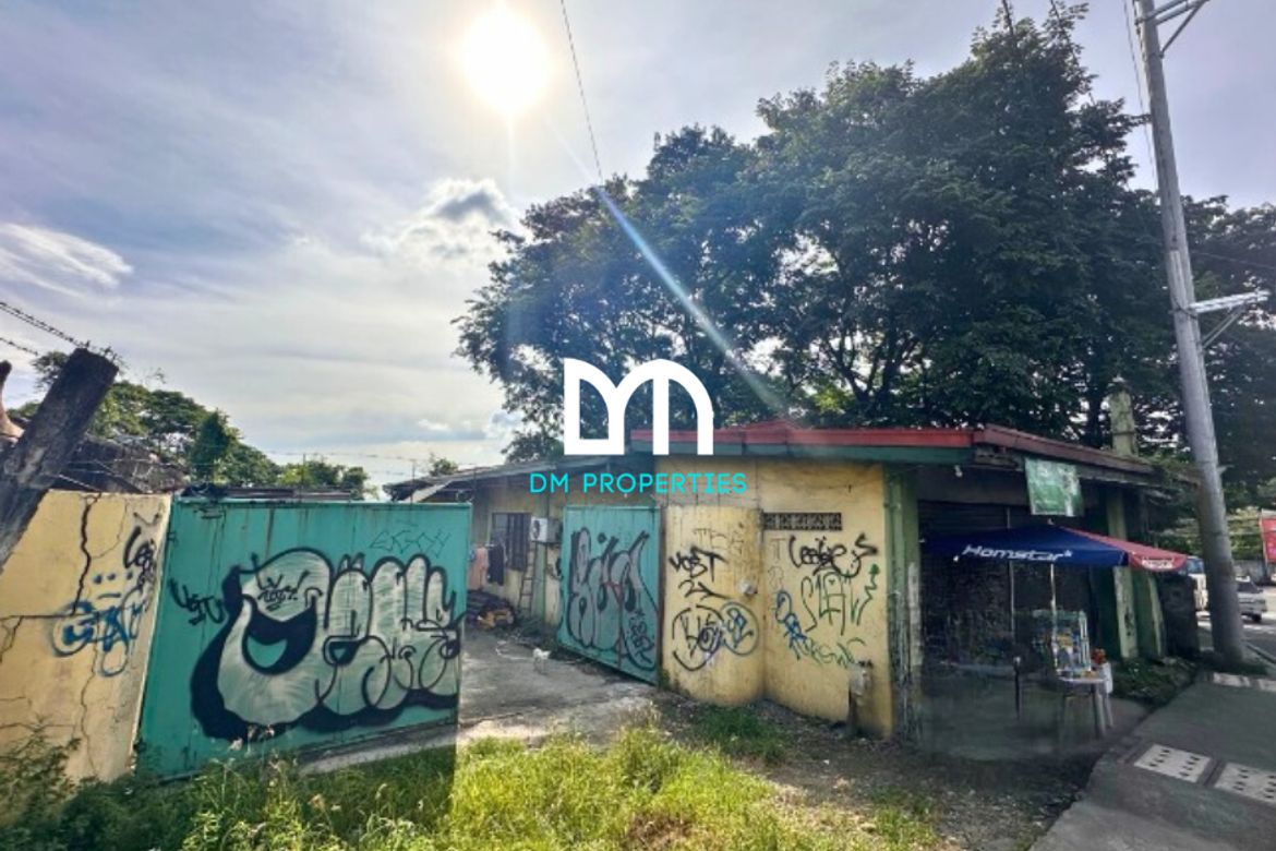Land for Sale in Mambugan, Antipolo, Rizal – photo 3