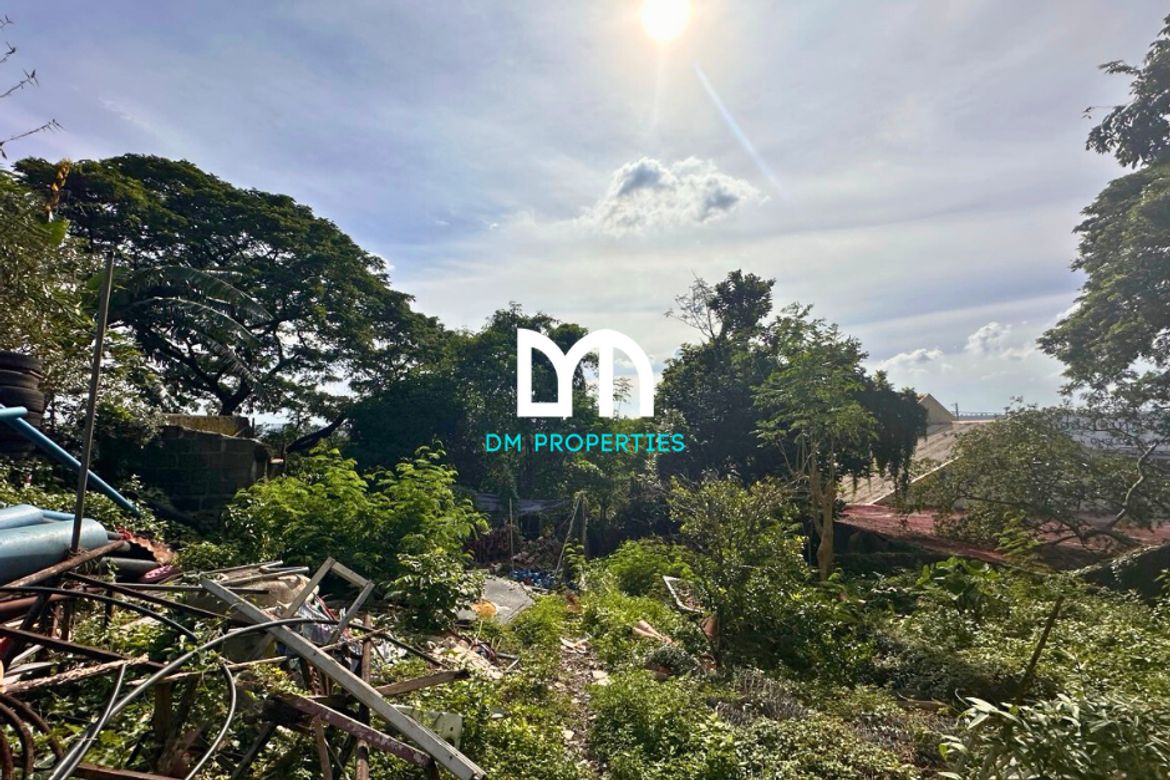 Land for Sale in Mambugan, Antipolo, Rizal – photo 5