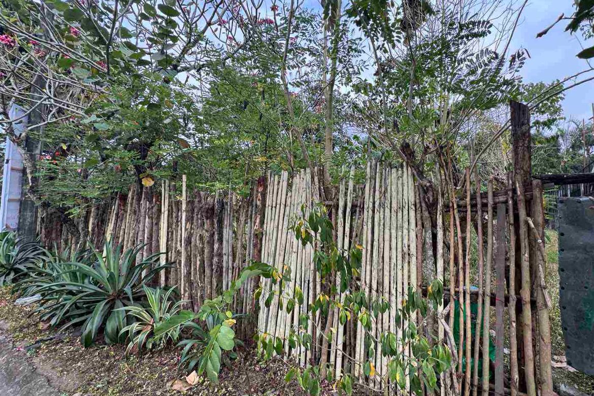 Land for Sale in Mambugan, Antipolo, Rizal – photo 3