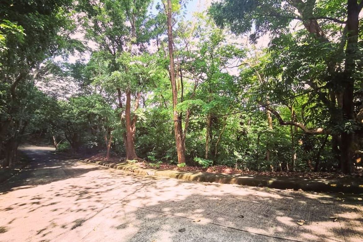 Land for Sale in Mambugan, Antipolo, Rizal