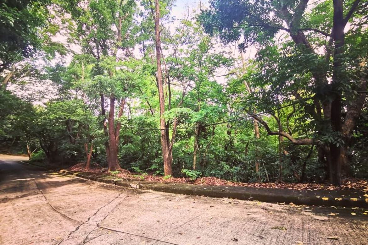 Land for Sale in Mambugan, Antipolo, Rizal – photo 2