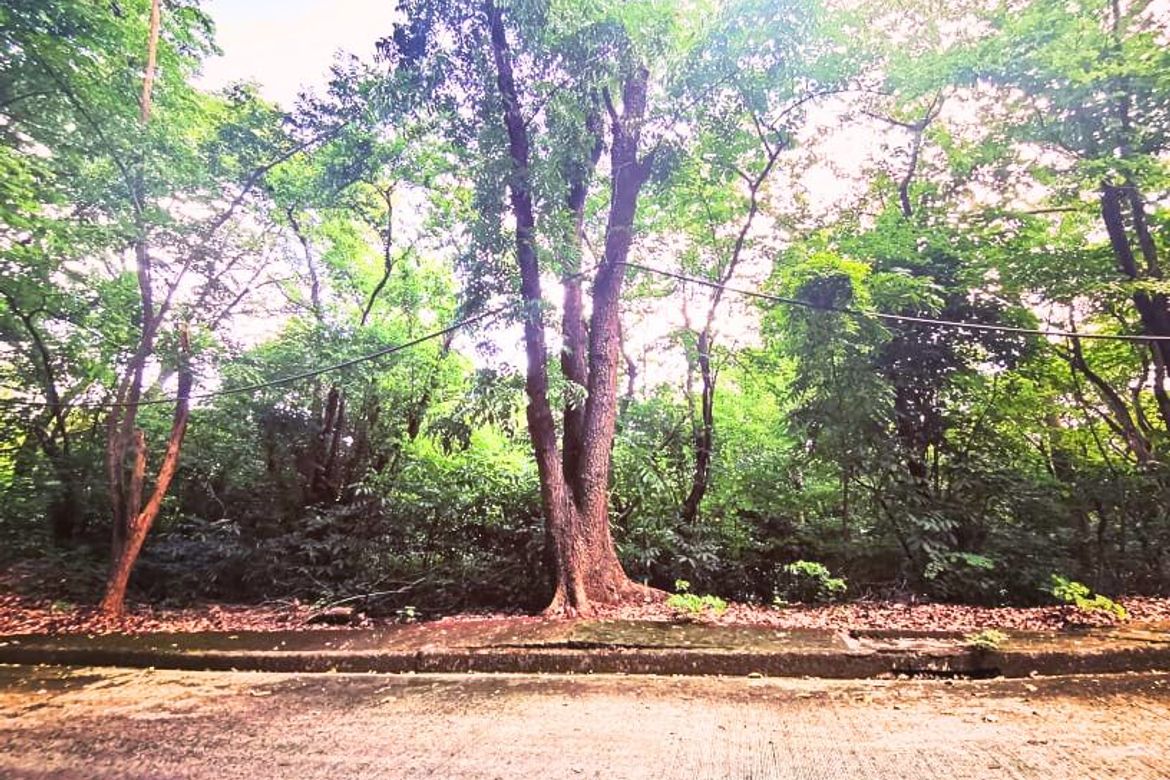 Land for Sale in Mambugan, Antipolo, Rizal – photo 3