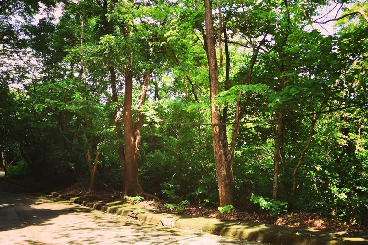 Land for Sale in Mambugan, Antipolo, Rizal – photo 4