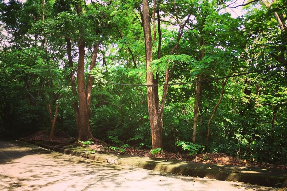 Land for Sale in Mambugan, Antipolo, Rizal – photo 5