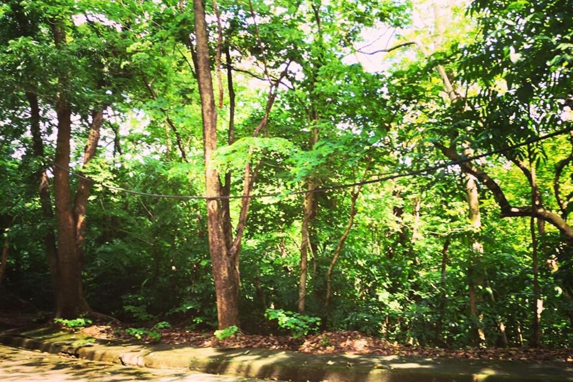 Land for Sale in Mambugan, Antipolo, Rizal – photo 6