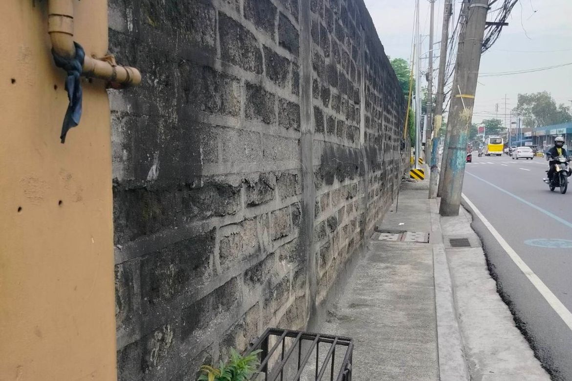 Land for Sale in Mambugan, Antipolo, Rizal – photo 6