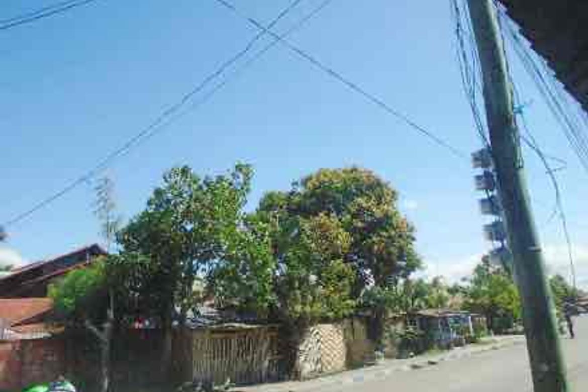Land for Sale in Mambulac, Silay, Negros Occidental
