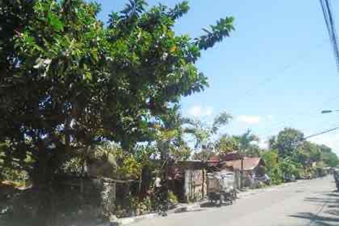 Land for Sale in Mambulac, Silay, Negros Occidental – photo 2