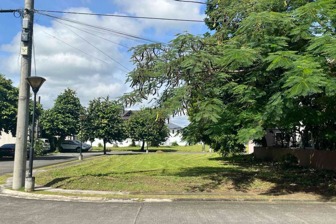 Land for Sale in Mampalasan, Biñan, Laguna – photo 2