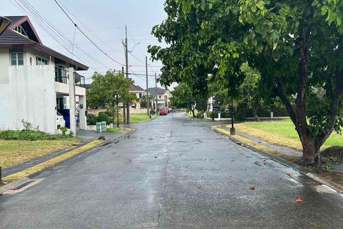 Land for Sale in Mampalasan, Biñan, Laguna – photo 7
