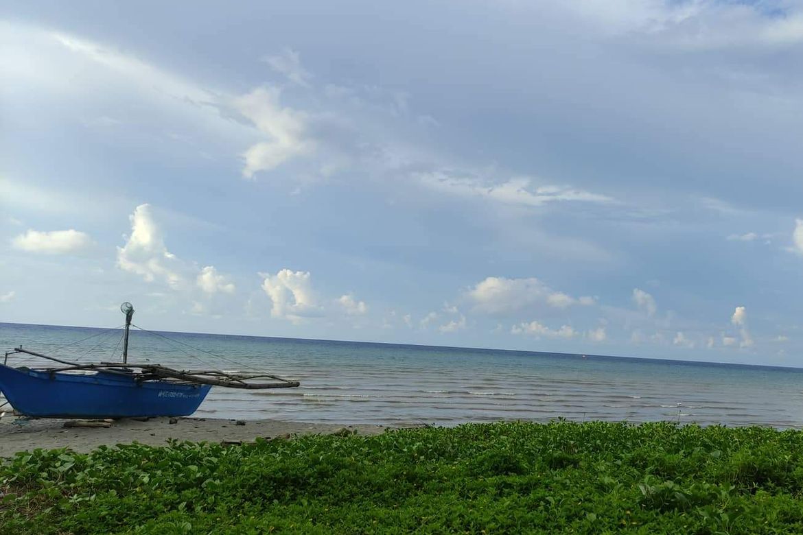 Land for Sale in Man-Uling, Cauayan, Negros Occidental