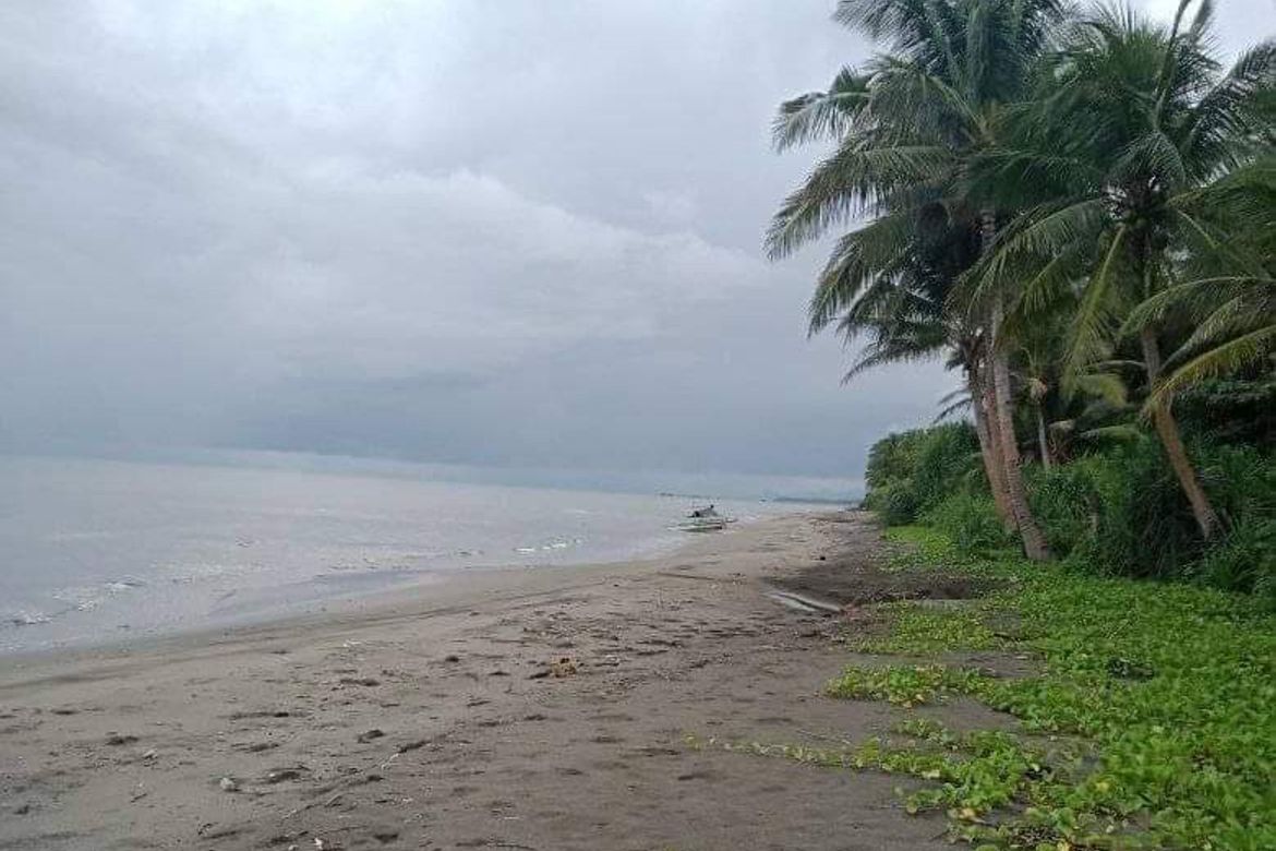 Land for Sale in Man-Uling, Cauayan, Negros Occidental – photo 2