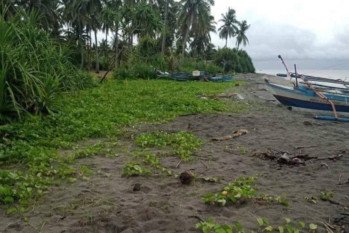 Land for Sale in Man-Uling, Cauayan, Negros Occidental – photo 3