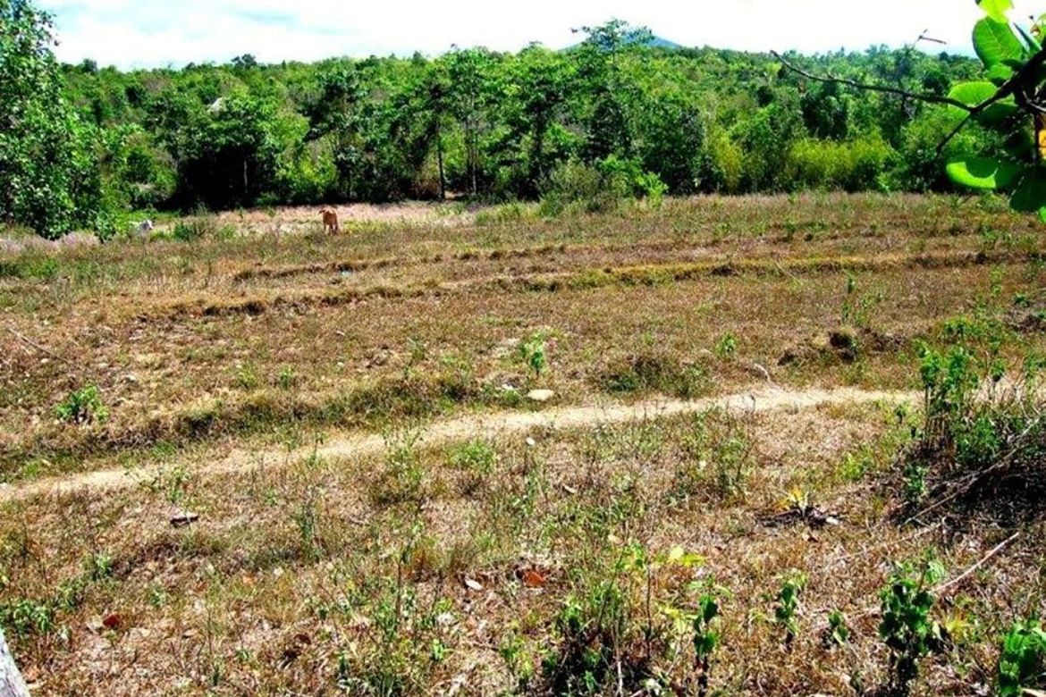 Land for Sale in Manalo, Puerto Princesa, Palawan – photo 2