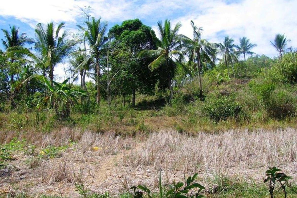 Land for Sale in Manalo, Puerto Princesa, Palawan – photo 4