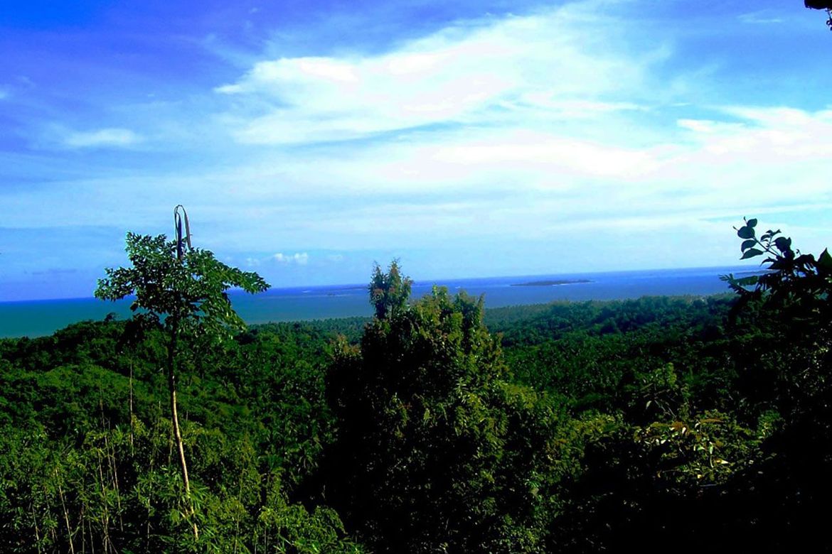 Land for Sale in Manalo, Puerto Princesa, Palawan – photo 2