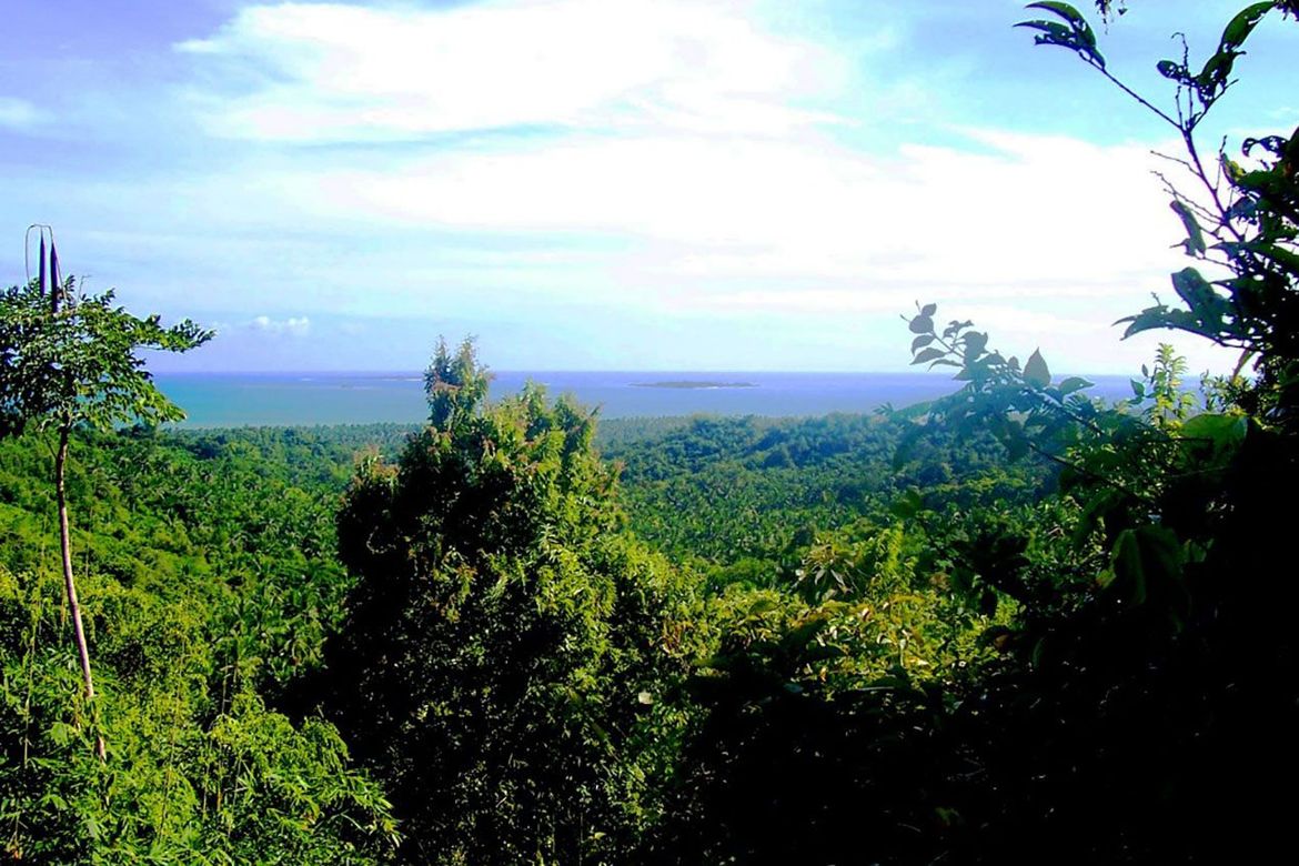 Land for Sale in Manalo, Puerto Princesa, Palawan – photo 3
