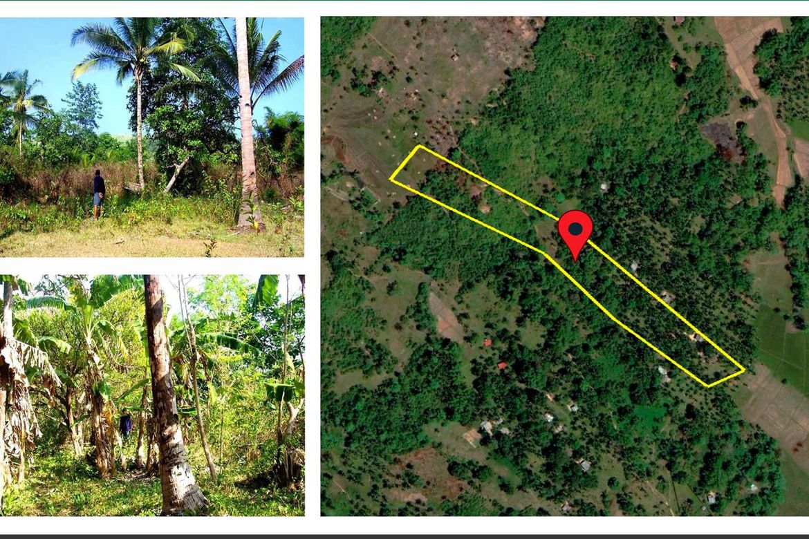 Land for Sale in Manalo, Puerto Princesa, Palawan