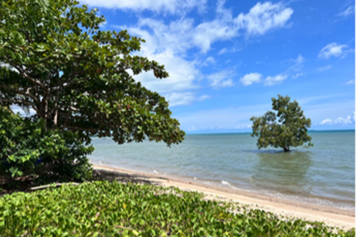 Land for Sale in Manalo, Puerto Princesa, Palawan – photo 3