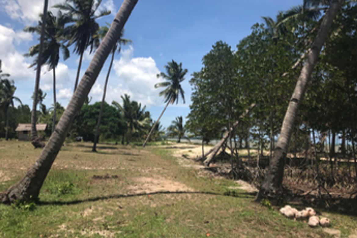 Land for Sale in Manalo, Puerto Princesa, Palawan – photo 4
