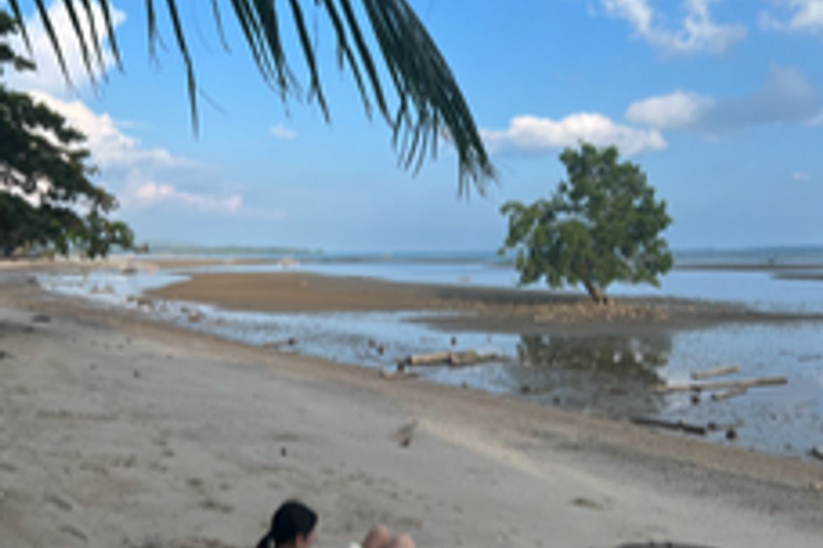 Land for Sale in Manalo, Puerto Princesa, Palawan – photo 7