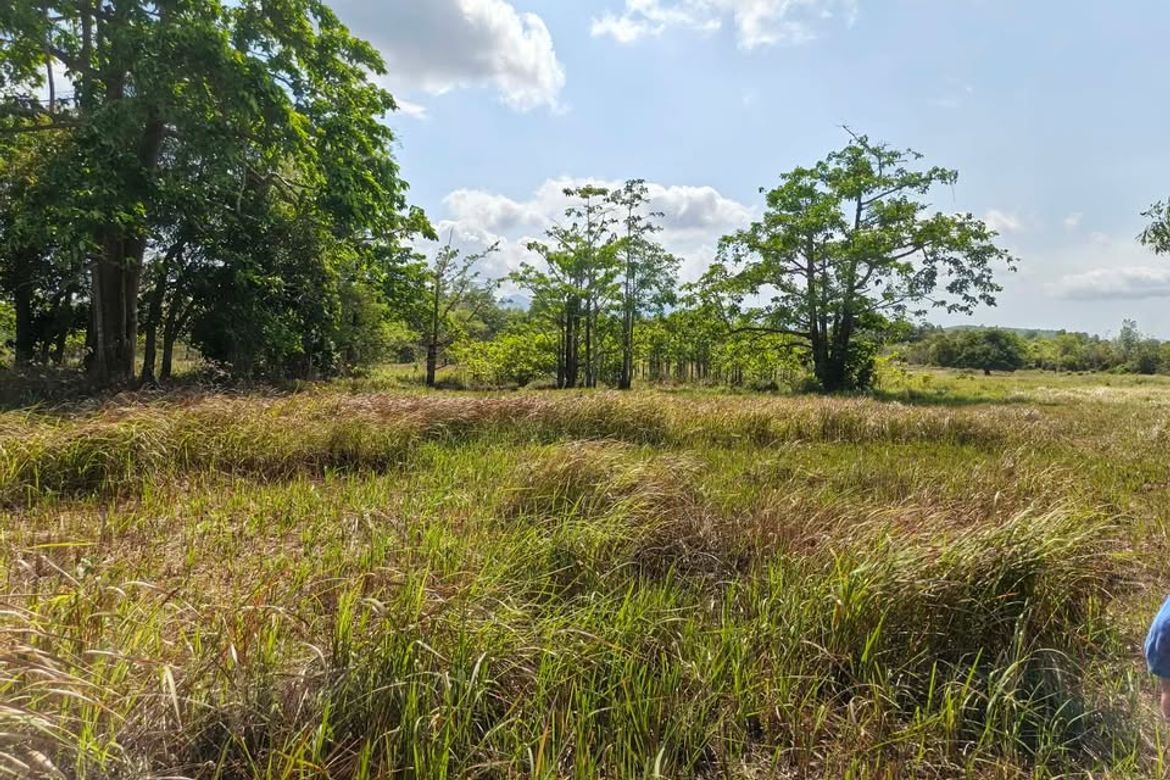 Land for Sale in Manalo, Puerto Princesa, Palawan